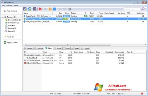 Screenshot BitTorrent Windows 7